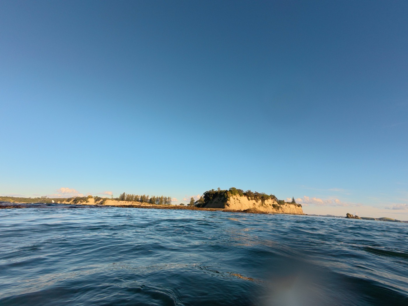 A bush-topped headland seen from the water